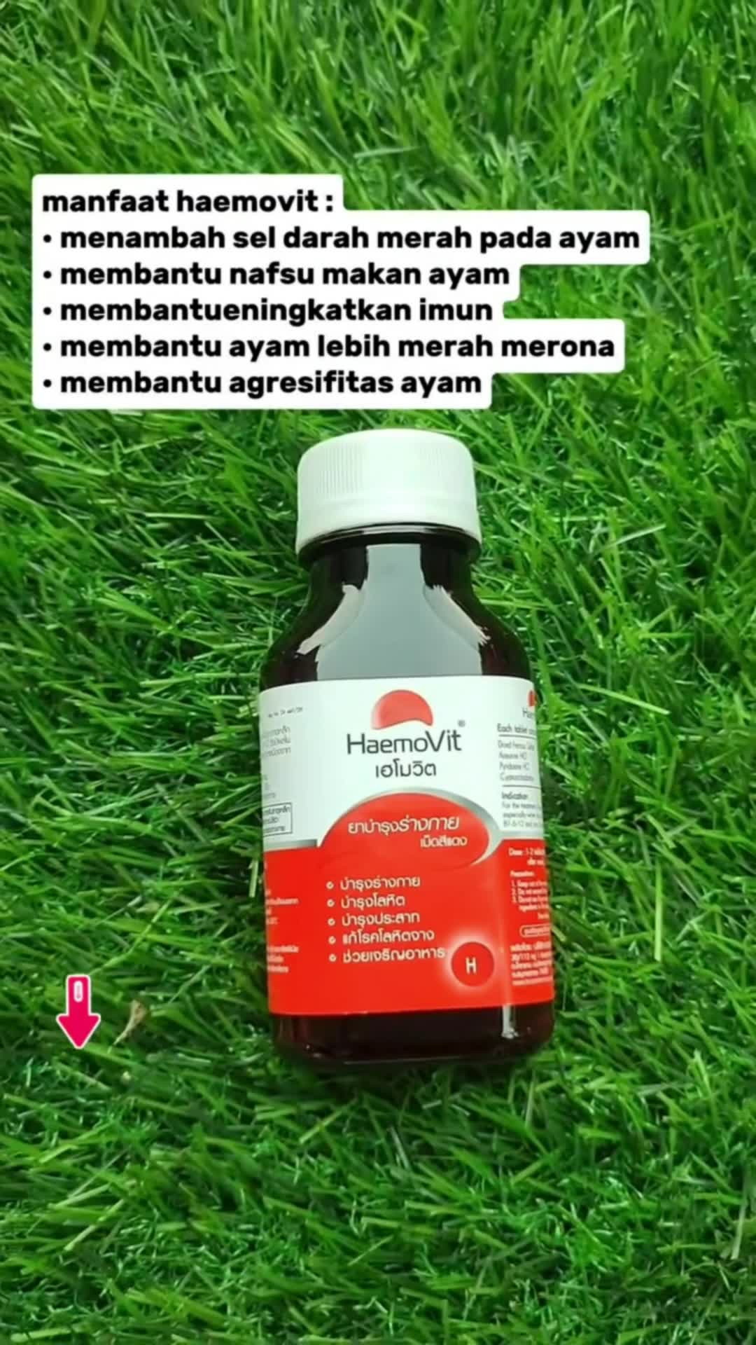 hemavit vitamin ayam