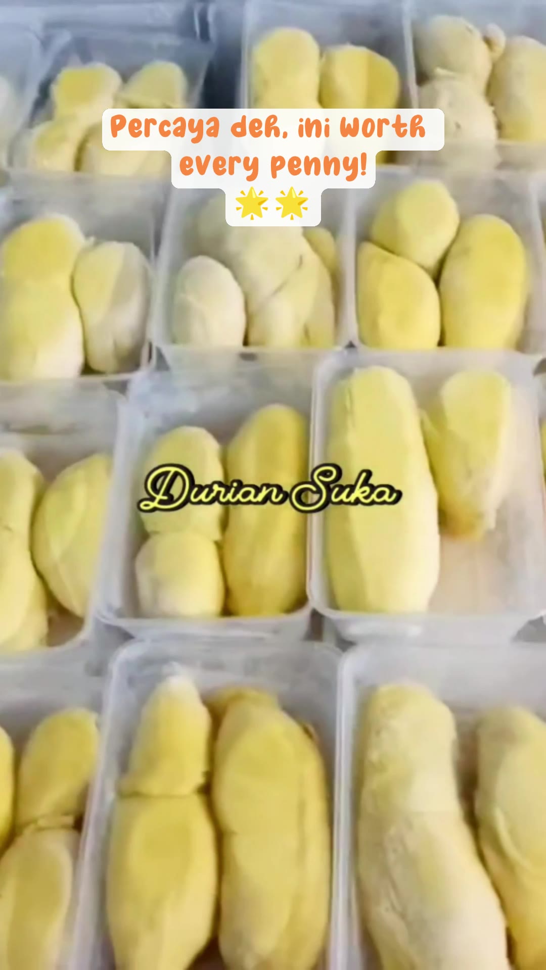 durian montong palu parigi #durianmontongpaluparigigradeApremium #durianmontongpaluparigipremium #durianmontongpaluparigimurah