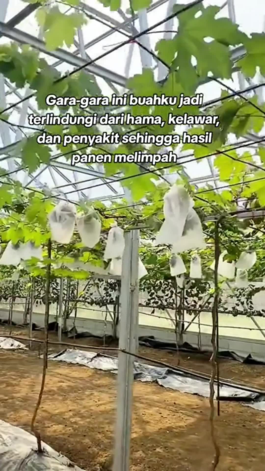 #RacunShopee #SpillRacunShopee #ViralDiShopeeVideo #DiskonRacunShopee #GratisOngkirRP0 #GakNyeselBeliIni #BadaiTapiBudget #PromoNonStop
