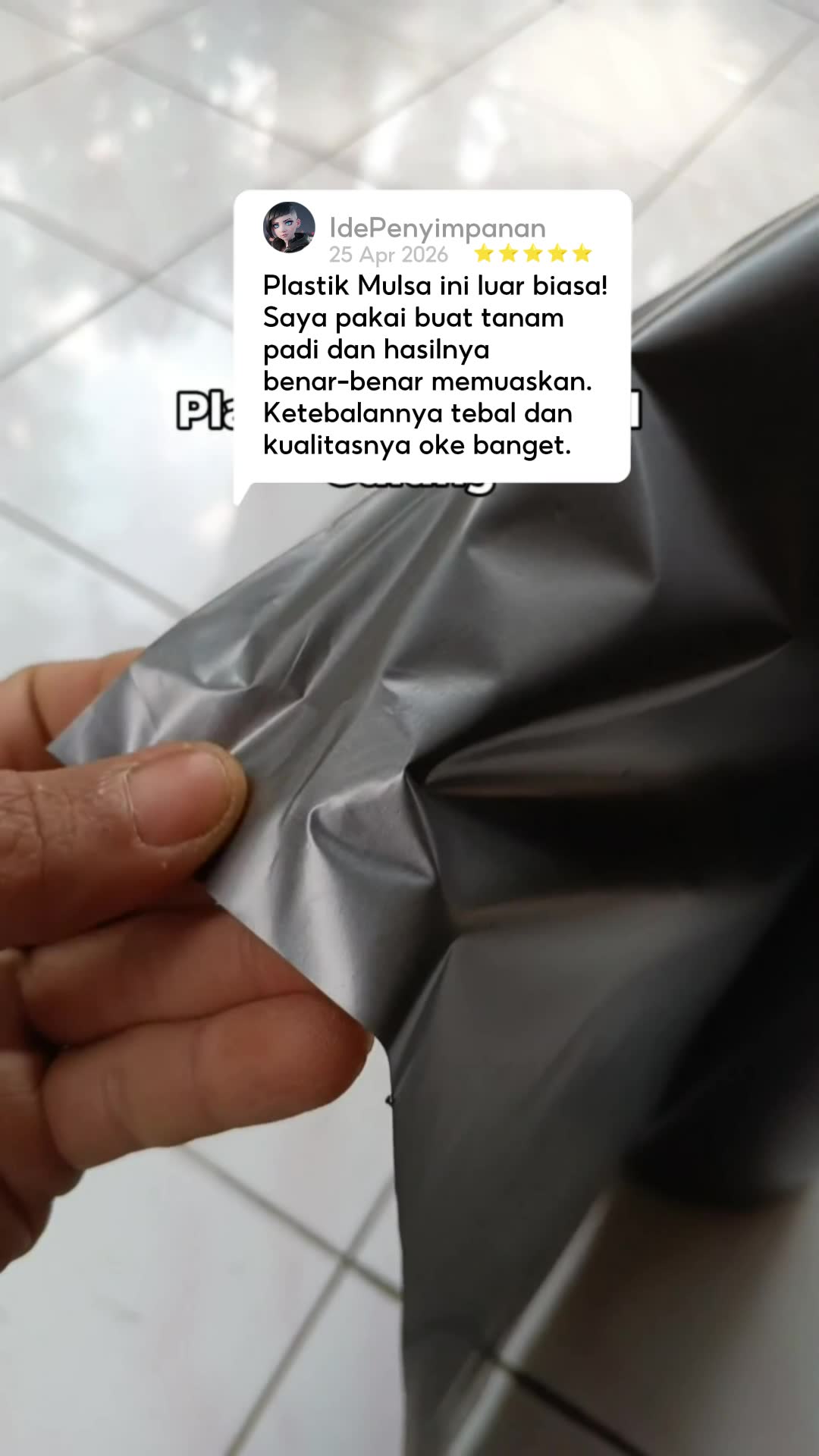 plastik mulsa pertanian #plastikmulsa #pertanian