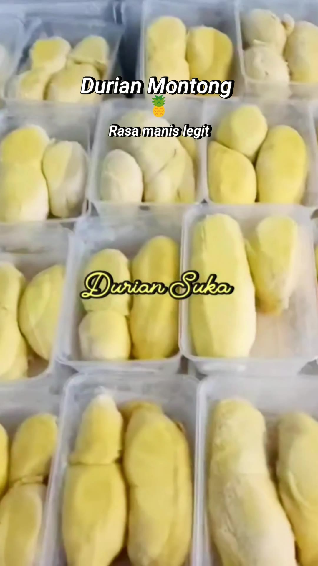 durian montong palu parigi sulawesi #durianmontongpalu #durianparigisulawesi #durianpremium