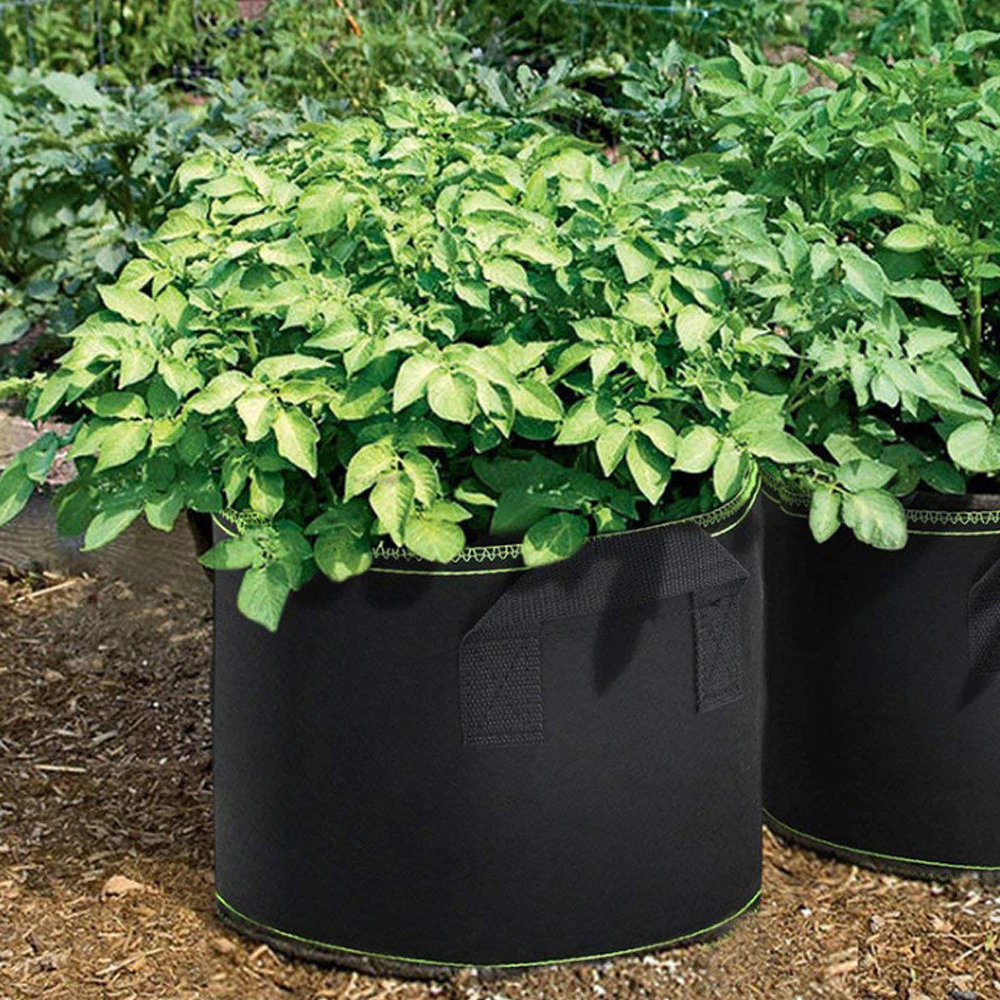 3Pcs Vegetable/Flower/Plant Bags 3 Gallon Thickened Non-Woven Grow Bags Aeration Fabric Pots With Handles